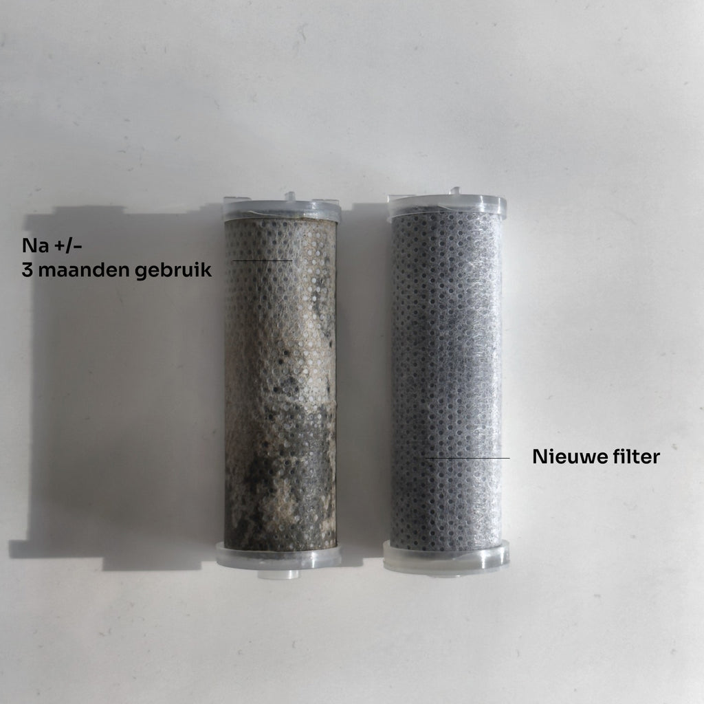 Rince Filter Douchekop 01